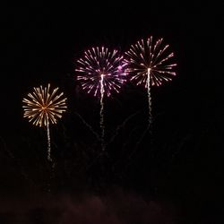 Fete_de_la_ville-Feu_d_artifice_JDS-01.jpg