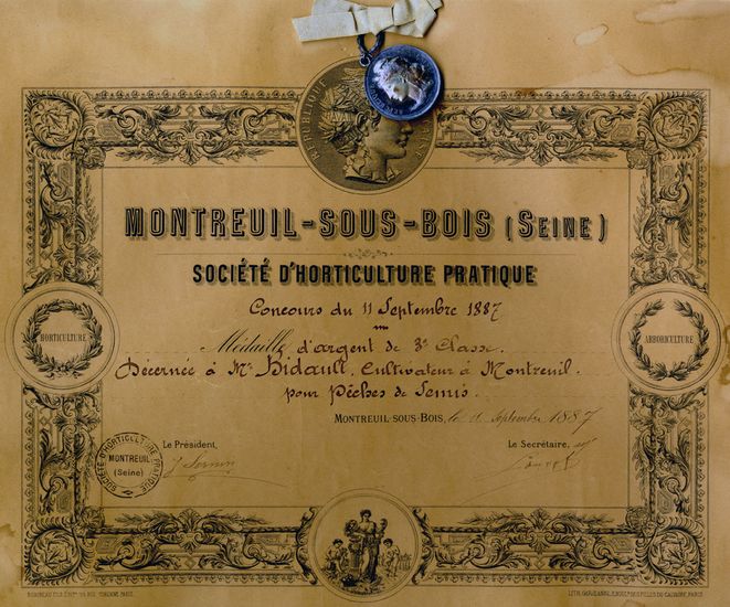Diplôme de la Société d’horticulture pratique et médaille d’argent décerné à un cultivateur de pêches en 1887 ©Coll. Musée de l’Histoire vivante