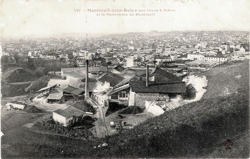 Carte postale issue du fond de la société régionale d'horticulture de Montreuil (SRHM)