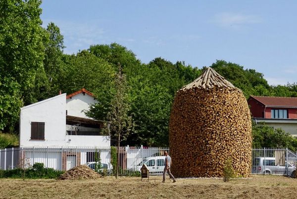 "Vieille branche (une histoire naturelle des quartiers de Bagnolet et Montreuil)" (2018) @ Simon Boudvin