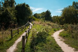 Montreuil - Parc des Beaumonts