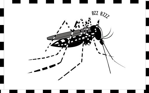 Halte au moustique tigre : adoptons les bons réflexes !