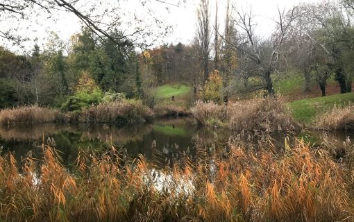 Montreuil | Parc Montreau