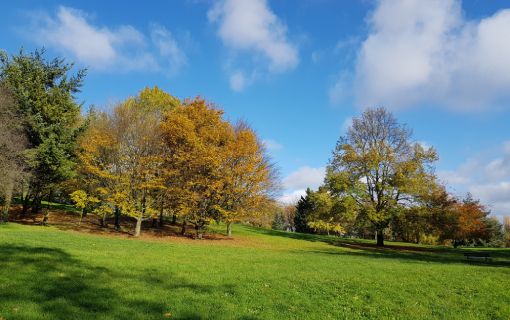 Tempête Ciaran : fermeture du parc Montreau le 2 novembre