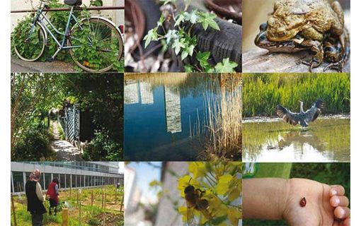 Comment Montreuil, ville résiliente, en pleine transformation écologique et sociale de son territoire, agit-elle concrètement