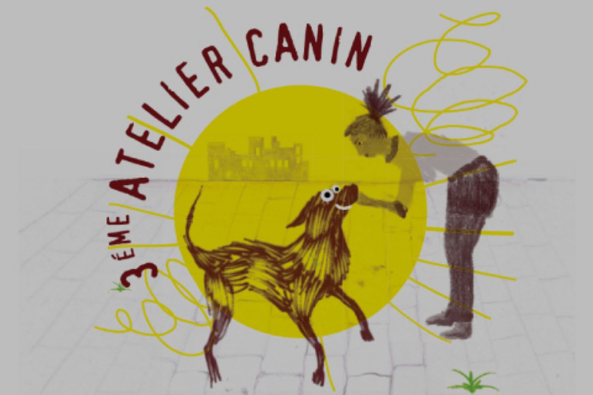 Montreuil | Ateliers canins