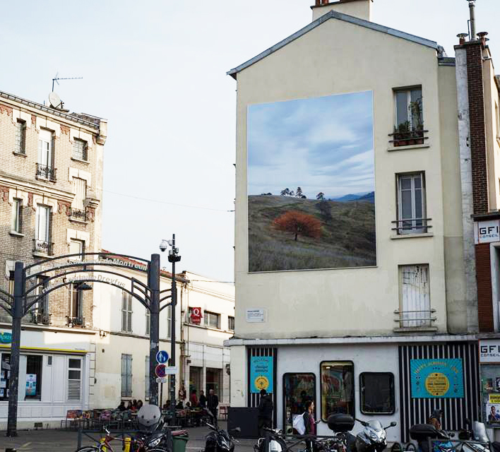 Campagne Auvergne © Pascal Aimar