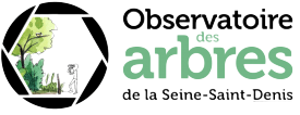 Bienvenue dans l'Observatoire des arbres de la Seine-Saint-Denis