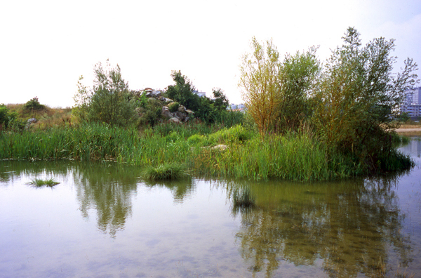 Parc des Beaumonts - Montreuil