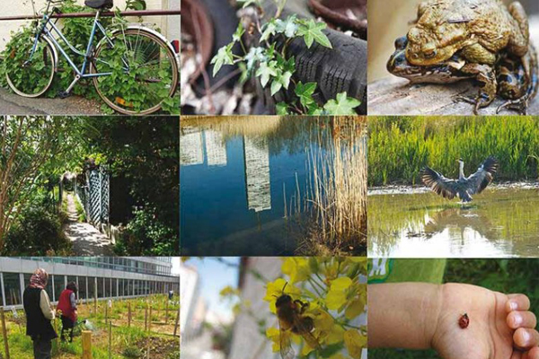 La biodiversité Montreuilloise