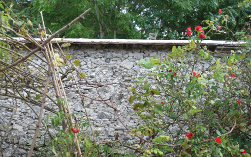 Restauration des murs à pêches