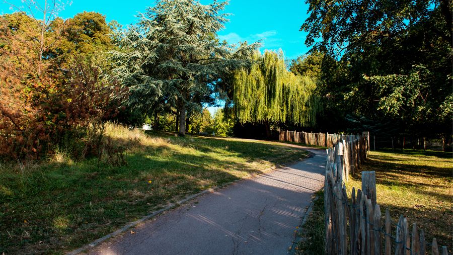 Alerte vents violents : fermeture du parc Montreau et des squares