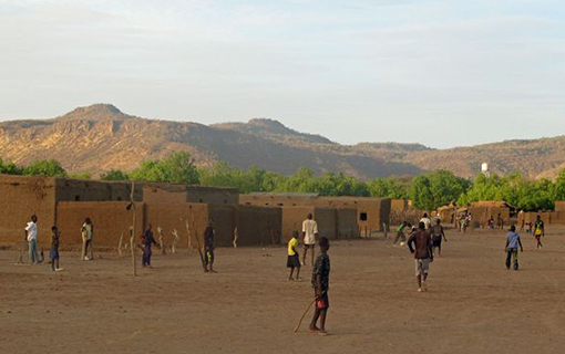 Montreuil s'engage dans un dispositif de volontariat international pour reboiser le Sahel et stopper la désertification