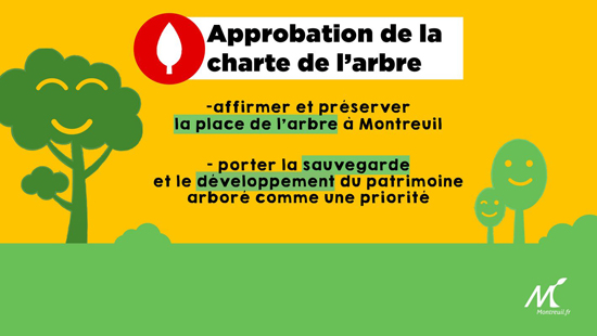 En adoptant une Charte de l'arbre, Montreuil fait des arbres ses alliés face aux enjeux du dérèglement climatique